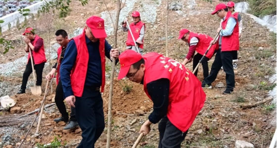 村企共建，共植先鋒林
