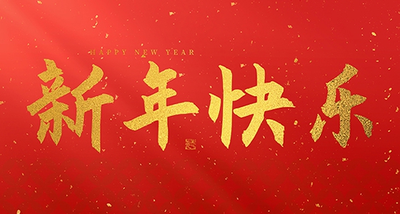 安特儀表集團有限公司祝大家2025新年快樂！